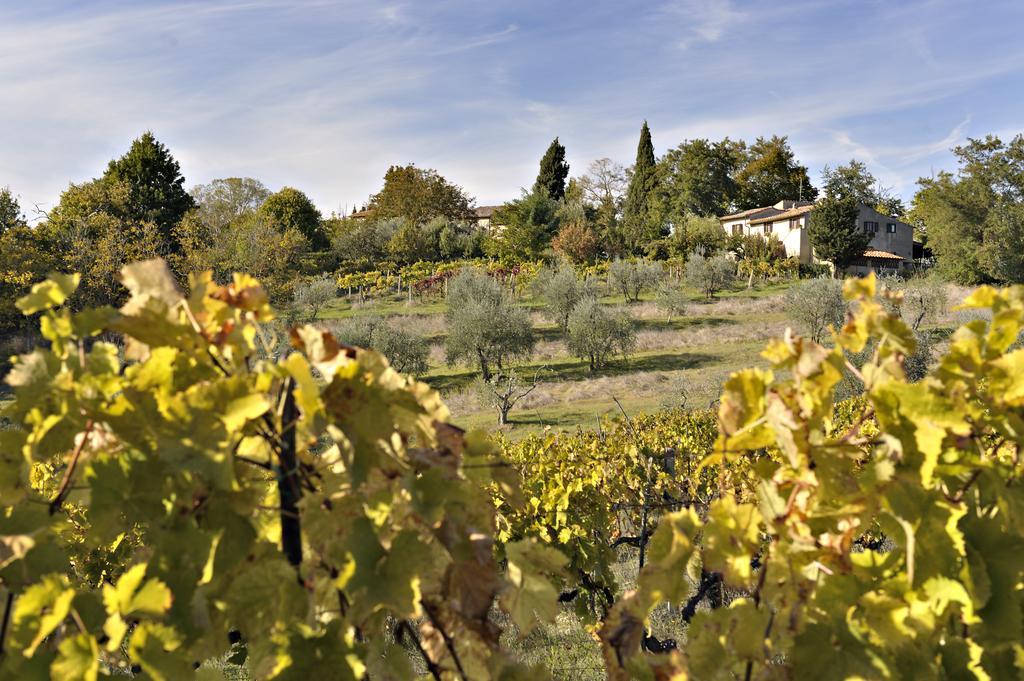 Il Casolare Di Libbiano Guest House San Gimignano Exterior photo